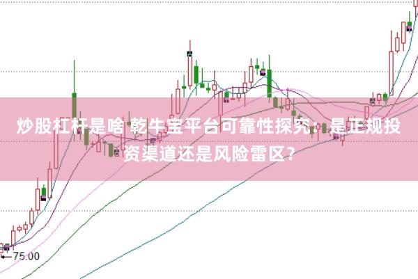 炒股杠杆是啥 乾牛宝平台可靠性探究：是正规投资渠道还是风险雷区？