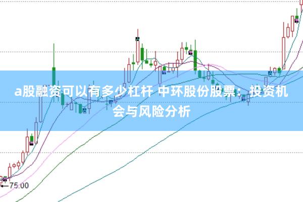 a股融资可以有多少杠杆 中环股份股票：投资机会与风险分析