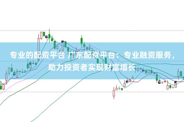 专业的配资平台 广东配资平台：专业融资服务，助力投资者实现财富增长