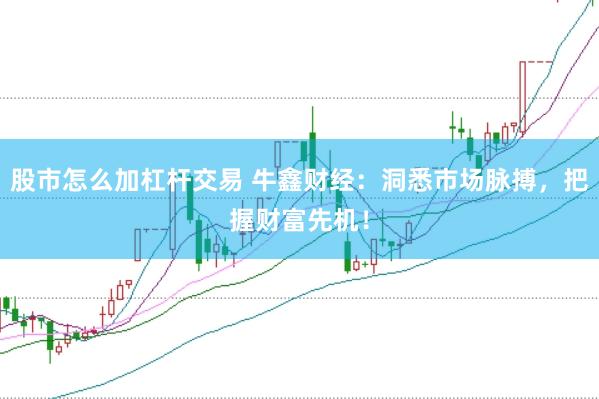 股市怎么加杠杆交易 牛鑫财经：洞悉市场脉搏，把握财富先机！
