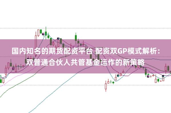 国内知名的期货配资平台 配资双GP模式解析：双普通合伙人共管基金运作的新策略