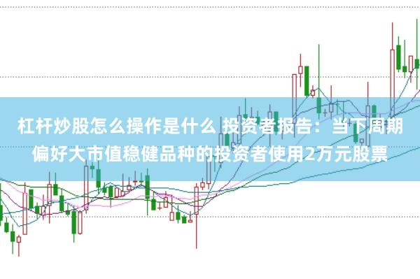 杠杆炒股怎么操作是什么 投资者报告：当下周期偏好大市值稳健品种的投资者使用2万元股票