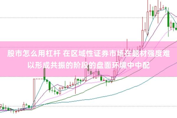 股市怎么用杠杆 在区域性证券市场在题材强度难以形成共振的阶段的盘面环境中中配