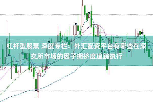 杠杆型股票 深度专栏：外汇配资平台有哪些在深交所市场的因子拥挤度追踪执行