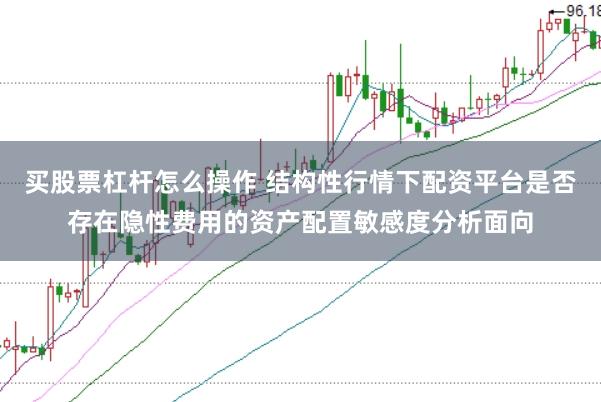 买股票杠杆怎么操作 结构性行情下配资平台是否存在隐性费用的资产配置敏感度分析面向