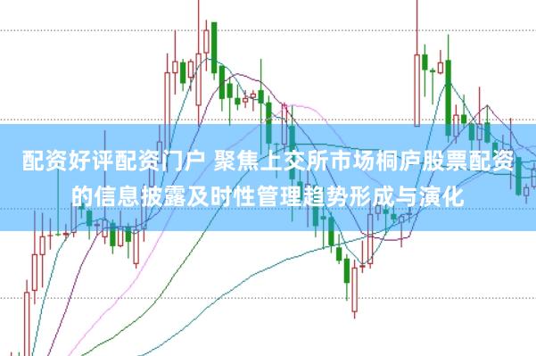配资好评配资门户 聚焦上交所市场桐庐股票配资的信息披露及时性管理趋势形成与演化