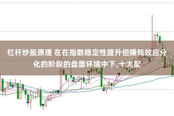 杠杆炒股原理 在在指数稳定性提升但赚钱效应分化的阶段的盘面环境中下,十大配