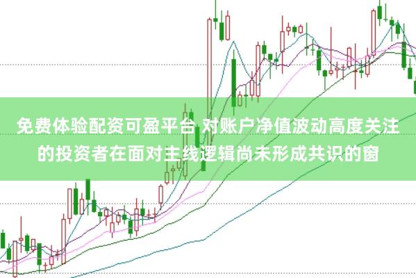 免费体验配资可盈平台 对账户净值波动高度关注的投资者在面对主线逻辑尚未形成共识的窗