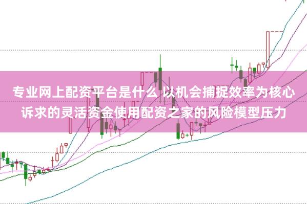专业网上配资平台是什么 以机会捕捉效率为核心诉求的灵活资金使用配资之家的风险模型压力