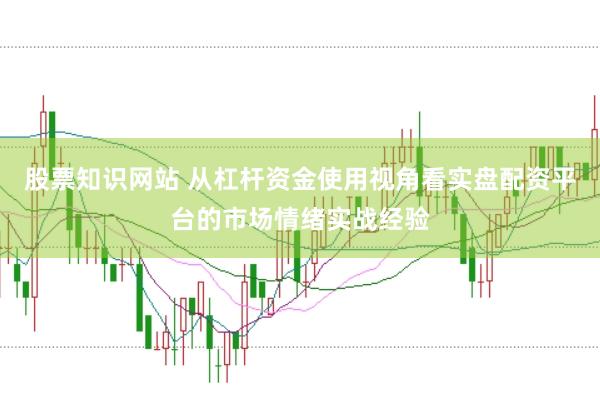 股票知识网站 从杠杆资金使用视角看实盘配资平台的市场情绪实战经验