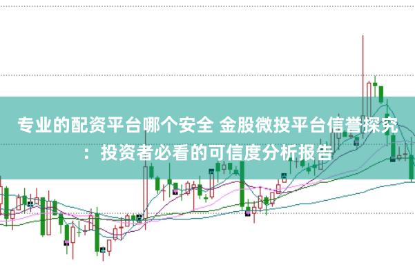 专业的配资平台哪个安全 金股微投平台信誉探究：投资者必看的可信度分析报告
