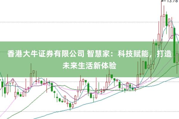 香港大牛证券有限公司 智慧家：科技赋能，打造未来生活新体验