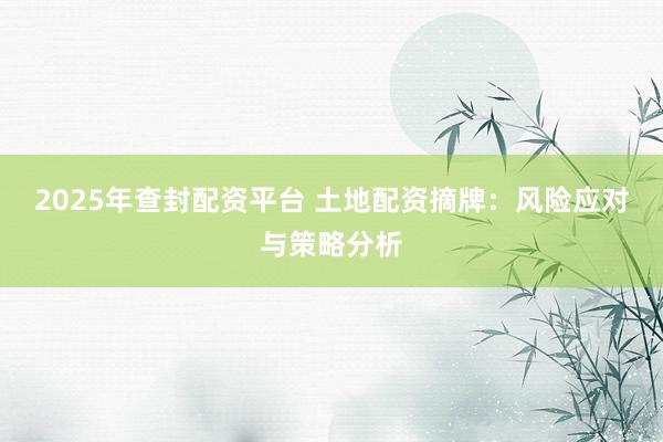 2025年查封配资平台 土地配资摘牌：风险应对与策略分析