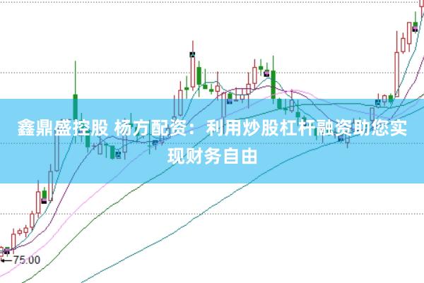 鑫鼎盛控股　 杨方配资：利用炒股杠杆融资助您实现财务自由